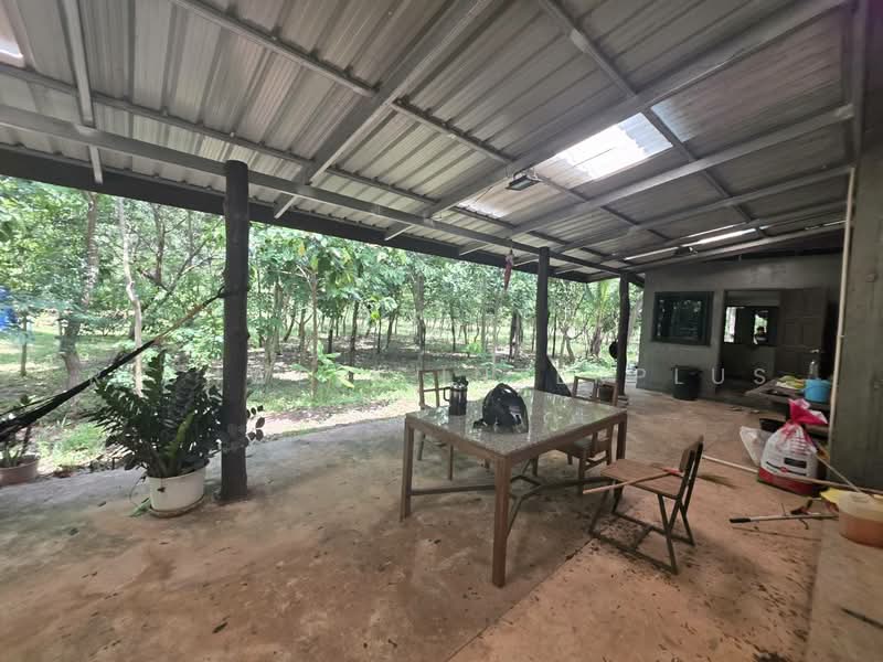 ขายที่ดินสวนป่าแนว Eco Living ติดวิวเขาใหญ่เนื้อที่ 25 ไร่ โฉนดนส.4 ล้อมรอบด้วยธรรมชาติ, ปราจีนบุรี, คำโตนด, ประจันตคาม, ปราจีนบุรี, 41,204 ตร.ม., ที่ดิน ขาย, โดย RICHWELL INTERPLUS, 500331827 - DDproperty.com