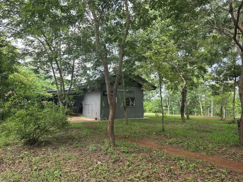 Selling a 25-rai eco-living forest land plot with Khao Yai mountain views, Prachin Buri, Kham Tanot, Prachantakham, Prachin Buri, , 41,204 sqm, Land For Sale, by RICHWELL INTERPLUS, 500331827 - DDproperty.com
