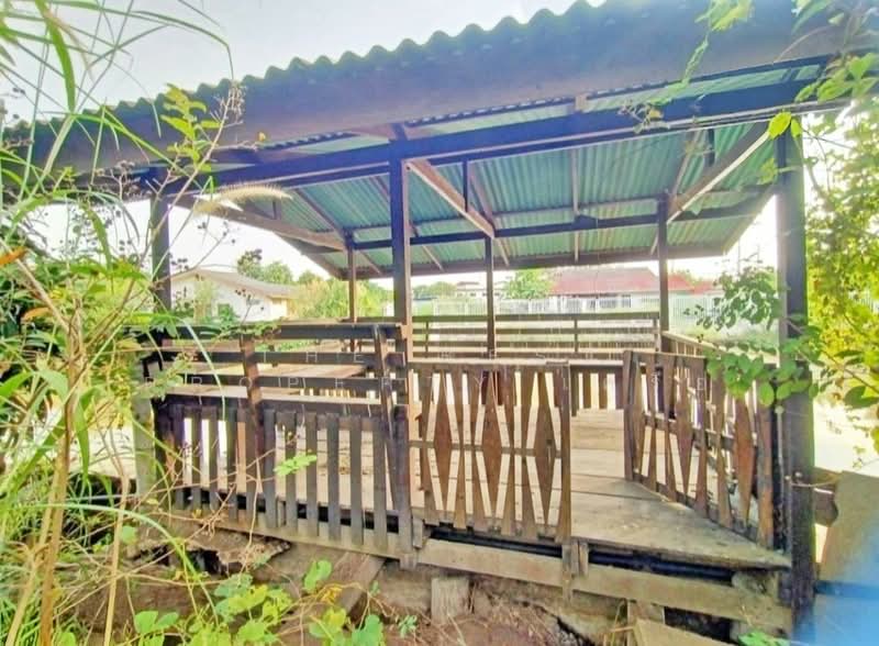 บ้านเดี่ยวพร้อมที่ดินท่าไข่ ฉะเชิงเทรา, ฉะเชิงเทรา, ท่าไข่, เมืองฉะเชิงเทรา, ฉะเชิงเทรา, 100 ตร.ม., บ้านเดี่ยว ขาย, โดย The Best Property เครือ, 500331845 - DDproperty.com