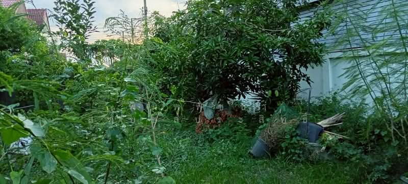 ซอยวิภาวดี39, Bangkok, Si Khan, Don Mueang, Bangkok, , 240 sqm, Land For Sale, by พิมพ์พิชชา สายชลประสิทธิ์, 500331928 - DDproperty.com
