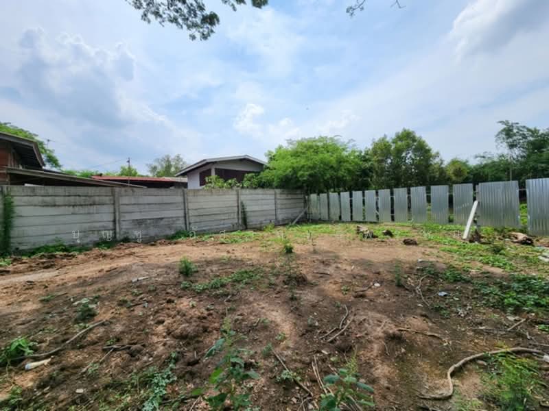 ไม่พบโครงการ, Bangkok, เลียบวารี, Khok Faed, Nong Chok, Bangkok, , 2,292 sqm, Land For Sale, by บุญชู อัศวฤทธิพรหม์, 500331990 - DDproperty.com