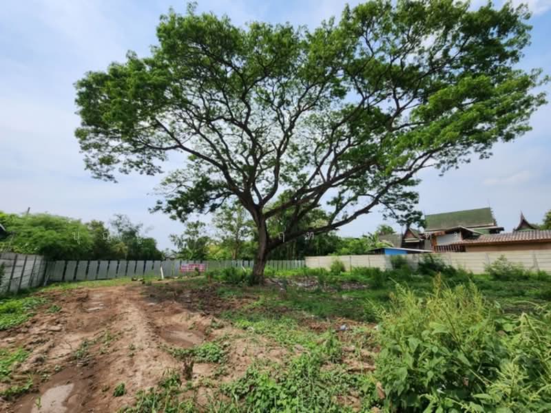 ไม่พบโครงการ, Bangkok, เลียบวารี, Khok Faed, Nong Chok, Bangkok, , 2,292 sqm, Land For Sale, by บุญชู อัศวฤทธิพรหม์, 500331990 - DDproperty.com