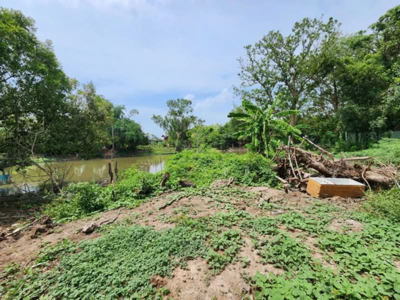 ไม่พบโครงการ, Bangkok, เลียบวารี, Khok Faed, Nong Chok, Bangkok, , 2,292 sqm, Land For Sale, by บุญชู อัศวฤทธิพรหม์, 500331990 - DDproperty.com