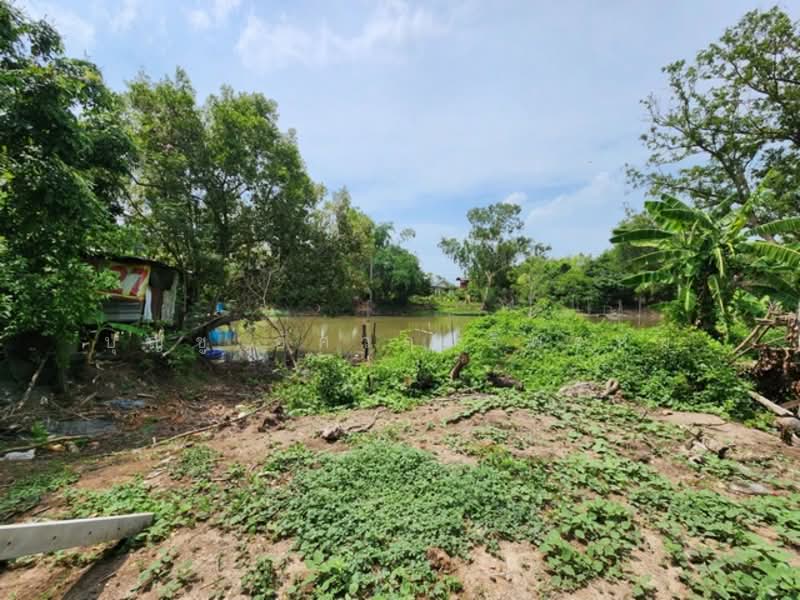 ไม่พบโครงการ, Bangkok, เลียบวารี, Khok Faed, Nong Chok, Bangkok, , 2,292 sqm, Land For Sale, by บุญชู อัศวฤทธิพรหม์, 500331990 - DDproperty.com
