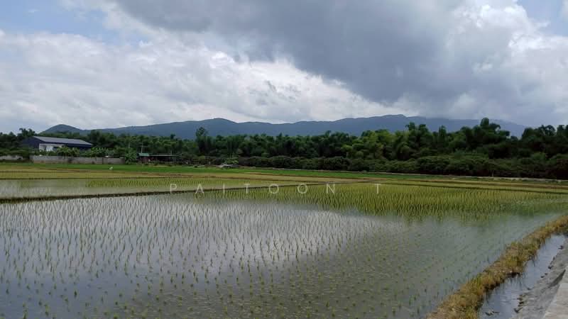 ที่ริมน้ำ จอมทอง เชียงใหม่ ให้เช่า 2.5ไร่, เชียงใหม่, 108, ดอยแก้ว, จอมทอง, เชียงใหม่, 4,218 ตร.ม., พื้นที่ขายของ ให้เช่า, โดย Paitoon T, 500332058 - DDproperty.com