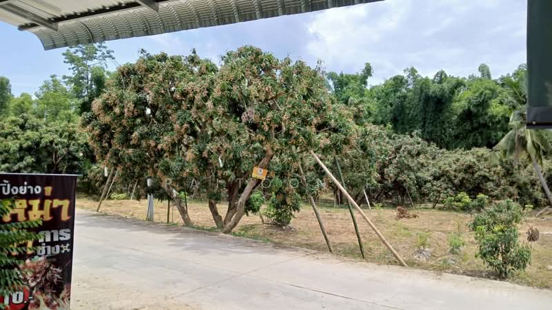 Riverside land for rent chiangmai, Chiang Mai, 108, Doi Kaeo, Chom Thong, Chiang Mai, , 4,218 sqm, Retail Space For Rent, by Paitoon T, 500332058 - DDproperty.com