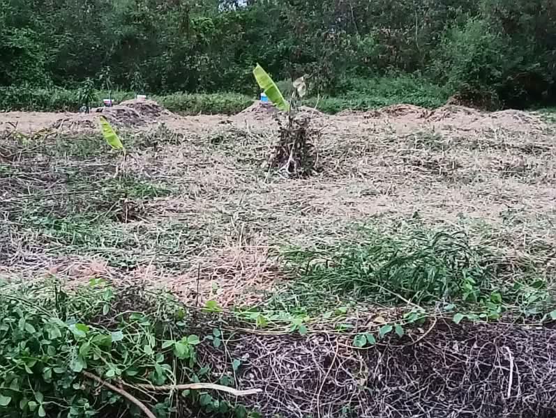 Chaiyaphruek Bangna Km.7, Samut Prakan, Bangna-Trad Road, Bang Kaeo, Bang Plee, Samut Prakan, , 408 sqm, Land For Sale, by Chisa Suttiworakan, 500332170 - DDproperty.com