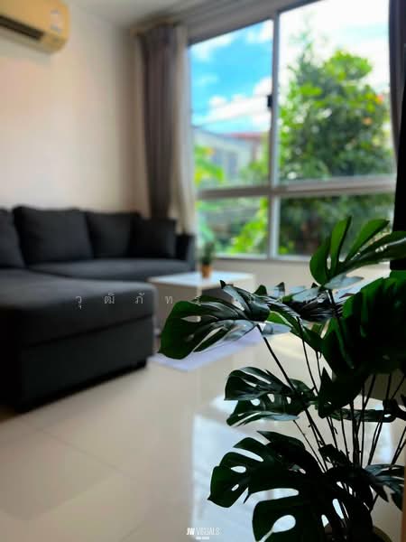 D Vieng Santitham, Chiang Mai, 66 Hussadhisawee Rd, Chang Phuak, Muang Chiang Mai, Chiang Mai, 1 Bedroom, 38 sqm, Condo For Rent, by วุฒิภัทร มิ่งคำ, 500332178 - DDproperty.com