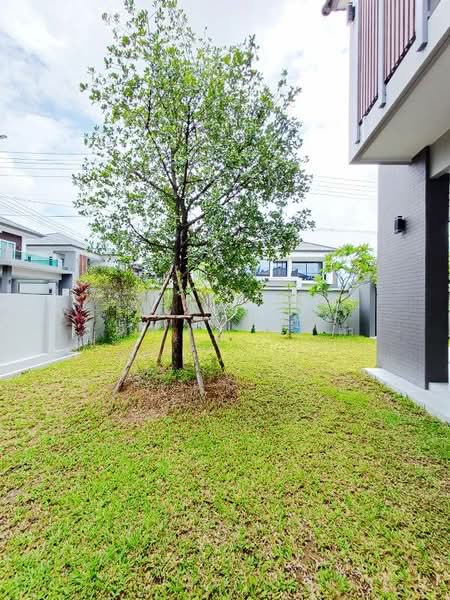 หนองควาย, เชียงใหม่, หนองควาย, หางดง, เชียงใหม่, 200 ตร.ม., บ้านเดี่ยว ให้เช่า, โดย วุฒิภัทร มิ่งคำ, 500332180 - DDproperty.com