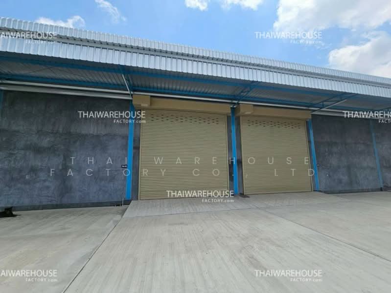 ให้เช่าโกดัง 780 ตร.ม. บางกระเจ้า สมุทรสาคร รถเทรลเลอร์เข้าได้, สมุทรสาคร, บางกระเจ้า, เมืองสมุทรสาคร, สมุทรสาคร, 780 ตร.ม., โกดัง-โรงงาน ให้เช่า, โดย THAI WAREHOUSE FACTORY CO., LTD., 500332191 - DDproperty.com