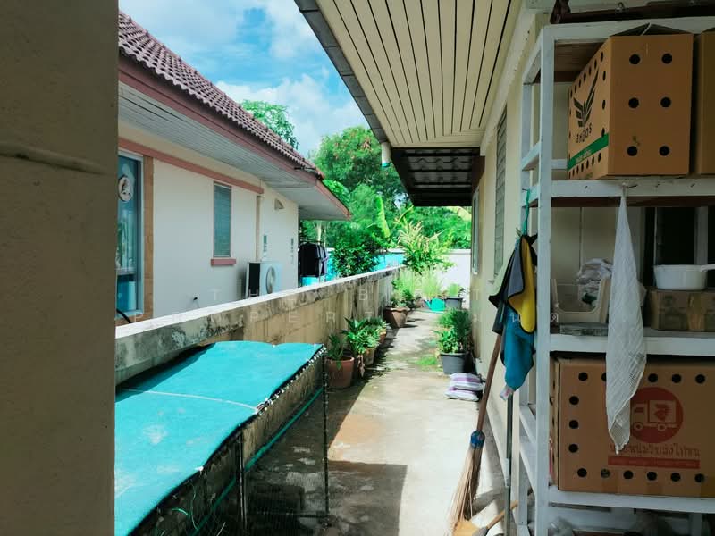 แกรนด์เซ็นทรัลปาร์ค2 (Grand Central Park Phase2), ชลบุรี, หนองตำลึง, พานทอง, ชลบุรี, 150 ตร.ม., บ้านเดี่ยว ขาย, โดย The Best Property มนต์, 500332206 - DDproperty.com