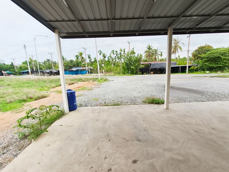อาคารพาณิชย์บางแก้ว ฉะเชิงเทรา, ฉะเชิงเทรา, บางแก้ว, เมืองฉะเชิงเทรา, ฉะเชิงเทรา, 100 ตร.ม., ตึกแถว-อาคารพาณิชย์ ขาย, โดย The Best Property ซายน์, 500332211 - DDproperty.com