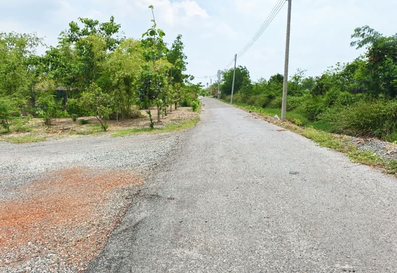 ที่ดินบ้านใหม่ ฉะเชิงเทรา, Chachoengsao, Ban Mai, Muang Chachoengsao, Chachoengsao, , 15,924 sqm, Land For Sale, by The Best Property ซายน์, 500332224 - DDproperty.com