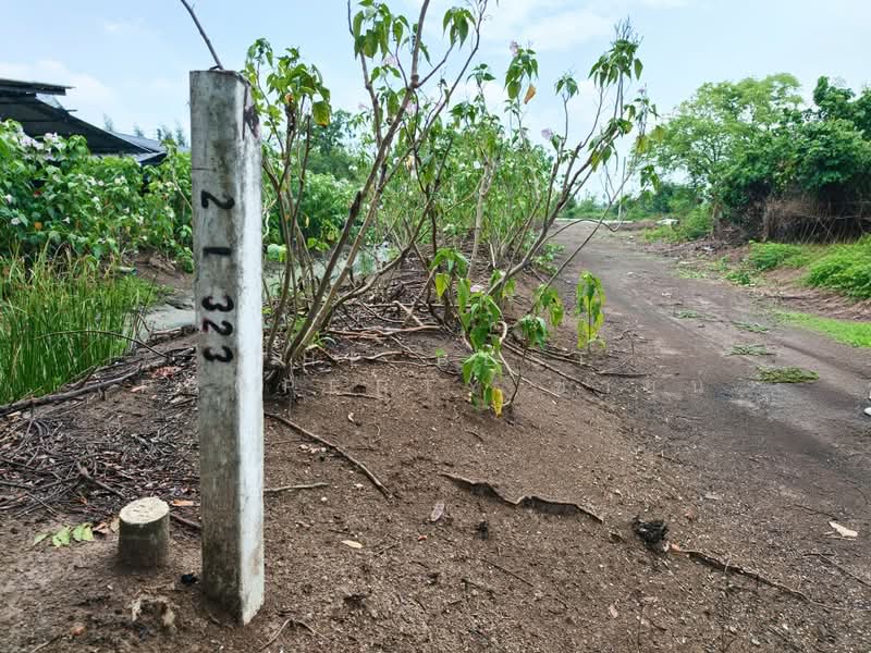 ที่ดินบ้านใหม่ ฉะเชิงเทรา, Chachoengsao, Ban Mai, Muang Chachoengsao, Chachoengsao, , 15,924 sqm, Land For Sale, by The Best Property ซายน์, 500332224 - DDproperty.com