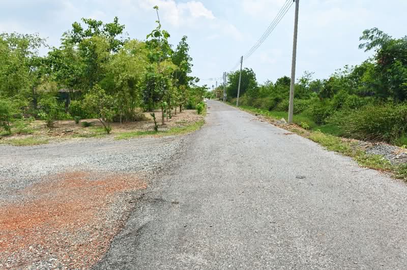 ที่ดินบ้านใหม่ ฉะเชิงเทรา, Chachoengsao, Ban Mai, Muang Chachoengsao, Chachoengsao, , 15,924 sqm, Land For Sale, by The Best Property ซายน์, 500332224 - DDproperty.com