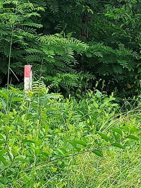 ที่ดินบ้านใหม่ ฉะเชิงเทรา, Chachoengsao, Ban Mai, Muang Chachoengsao, Chachoengsao, , 15,924 sqm, Land For Sale, by The Best Property ซายน์, 500332224 - DDproperty.com
