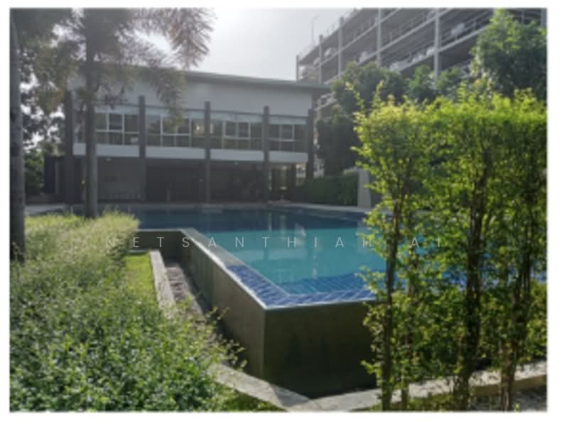 Lumpini Condo Town Chonburi-Sukhumvit : ลุมพินี คอนโดทาวน์ ชลบุรี สุขุมวิท, ชลบุรี, ซอยเพชรสยาม, บ้านสวน, เมืองชลบุรี, ชลบุรี, 21 ตร.ม., คอนโด ขาย, โดย Netsanthiah Ai, 500332235 - DDproperty.com