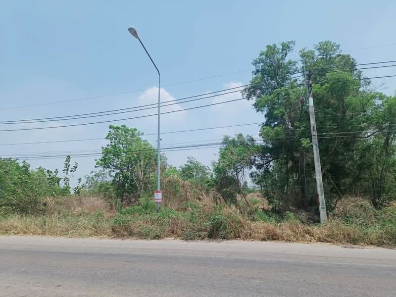 ที่ดินราชสาส์น ฉะเชิงเทรา, ฉะเชิงเทรา, ดงน้อย, ราชสาส์น, ฉะเชิงเทรา, 22,644 ตร.ม., ที่ดิน ขาย, โดย The Best Property ซายน์, 500332248 - DDproperty.com