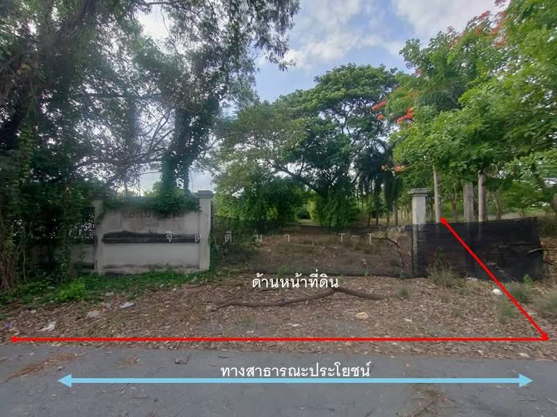 ที่ดิน พุทธมณฑล สาย 2 ซอย 19 ขนาด 6 ไร่ กว่า เข้าซอยเพียง 1.7 โล ติดคลอง 2 ด้าน, กรุงเทพ, พุทธมณฑลสาย 2, ทวีวัฒนา, กรุงเทพ, 10,956 ตร.ม., ที่ดิน ขาย, โดย จิตติมา TT, 500332250 - DDproperty.com