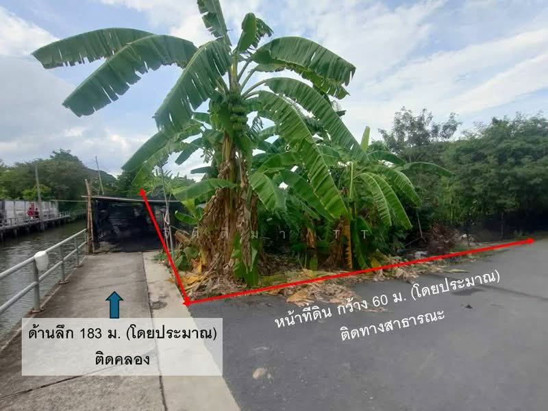 ที่ดิน พุทธมณฑล สาย 2 ซอย 19 ขนาด 6 ไร่ กว่า เข้าซอยเพียง 1.7 โล ติดคลอง 2 ด้าน, กรุงเทพ, พุทธมณฑลสาย 2, ทวีวัฒนา, กรุงเทพ, 10,956 ตร.ม., ที่ดิน ขาย, โดย จิตติมา TT, 500332250 - DDproperty.com