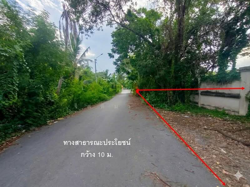 ที่ดิน พุทธมณฑล สาย 2 ซอย 19 ขนาด 6 ไร่ กว่า เข้าซอยเพียง 1.7 โล ติดคลอง 2 ด้าน, กรุงเทพ, พุทธมณฑลสาย 2, ทวีวัฒนา, กรุงเทพ, 10,956 ตร.ม., ที่ดิน ขาย, โดย จิตติมา TT, 500332250 - DDproperty.com