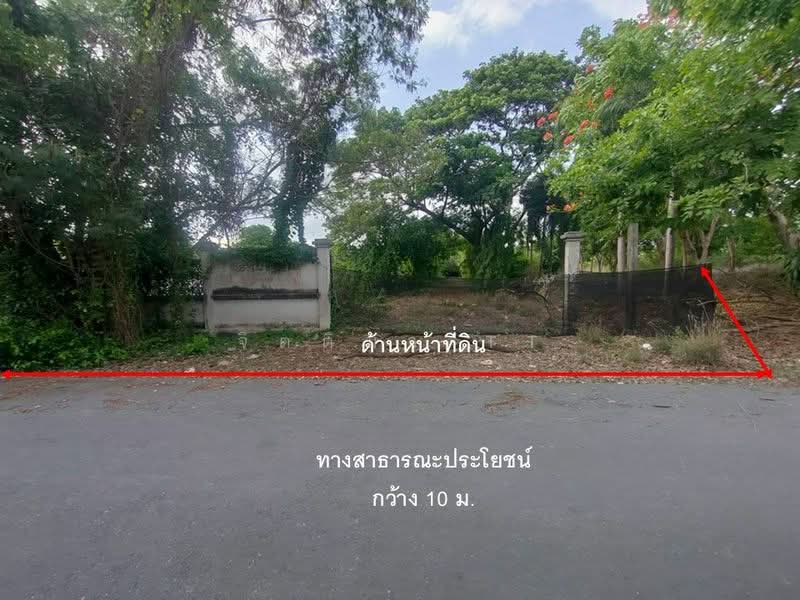 ที่ดิน พุทธมณฑล สาย 2 ซอย 19 ขนาด 6 ไร่ กว่า เข้าซอยเพียง 1.7 โล ติดคลอง 2 ด้าน, กรุงเทพ, พุทธมณฑลสาย 2, ทวีวัฒนา, กรุงเทพ, 10,956 ตร.ม., ที่ดิน ขาย, โดย จิตติมา TT, 500332250 - DDproperty.com