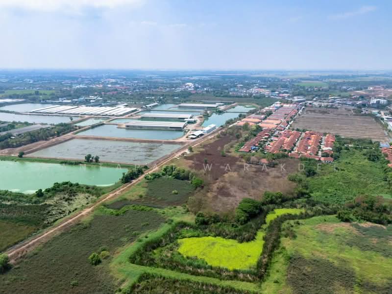 ที่ดินใกล้โรจนะ บางปะอิน อยุธยา, Phra Nakhon Si Ayutthaya, Ban Sang, Bang Pa-In, Phra Nakhon Si Ayutthaya, , 47,156 sqm, Land For Sale, by Nantapat Warakdee, 500332269 - DDproperty.com