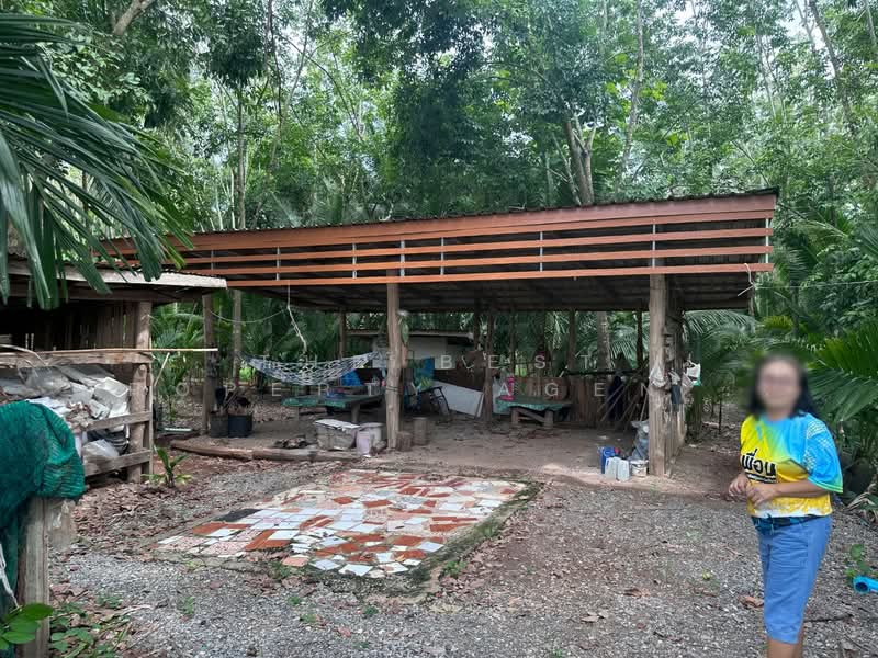 ที่ดินพร้อมสิ่งปลูกสร้างคอนสาร ชัยภูมิ, Chaiyaphum, Dong Bang, Khon San, Chaiyaphum, , 25,572 sqm, Land For Sale, by The Best Property Agent ต้นอ้อ, 500332281 - DDproperty.com