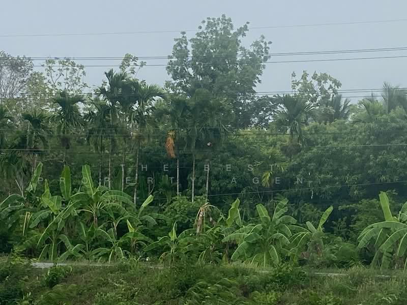 ที่ดินพร้อมสิ่งปลูกสร้างคอนสาร ชัยภูมิ, Chaiyaphum, Dong Bang, Khon San, Chaiyaphum, , 25,572 sqm, Land For Sale, by The Best Property Agent ต้นอ้อ, 500332281 - DDproperty.com