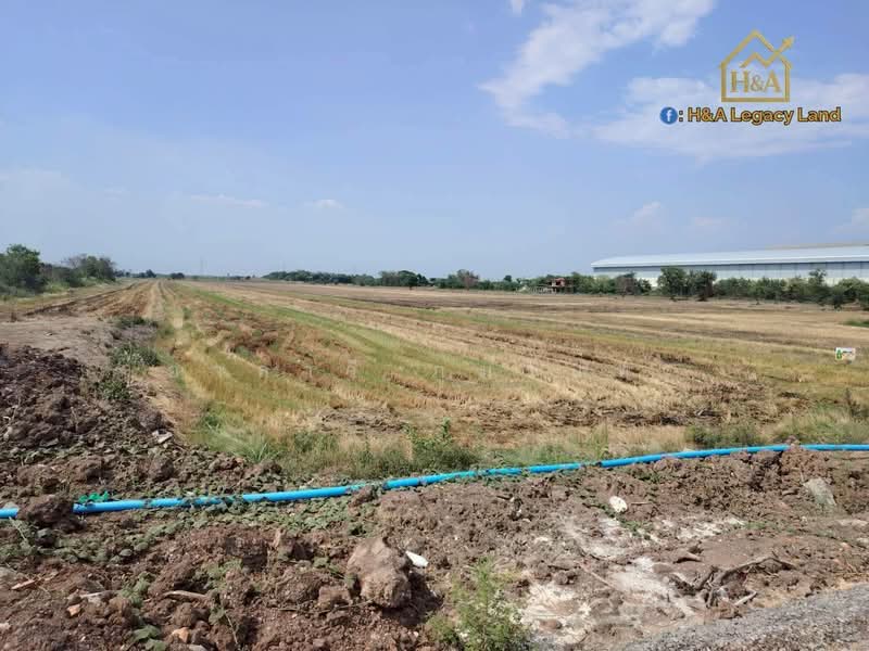 อยุธยา, พระนครศรีอยุธยา, ลาดบัวหลวงไม้ตรา, พระยาบันลือ, ลาดบัวหลวง, พระนครศรีอยุธยา, 16,384 ตร.ม., ที่ดิน ขาย, โดย อาลาวี ภูมรินทร, 500332311 - DDproperty.com