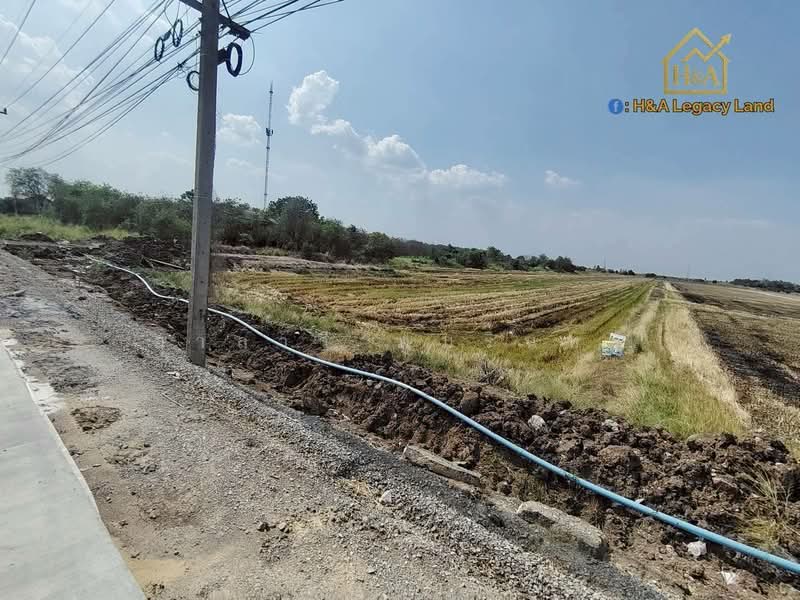 อยุธยา, พระนครศรีอยุธยา, ลาดบัวหลวงไม้ตรา, พระยาบันลือ, ลาดบัวหลวง, พระนครศรีอยุธยา, 16,384 ตร.ม., ที่ดิน ขาย, โดย อาลาวี ภูมรินทร, 500332311 - DDproperty.com