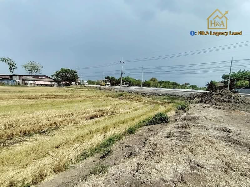 อยุธยา, พระนครศรีอยุธยา, ลาดบัวหลวงไม้ตรา, พระยาบันลือ, ลาดบัวหลวง, พระนครศรีอยุธยา, 16,384 ตร.ม., ที่ดิน ขาย, โดย อาลาวี ภูมรินทร, 500332311 - DDproperty.com