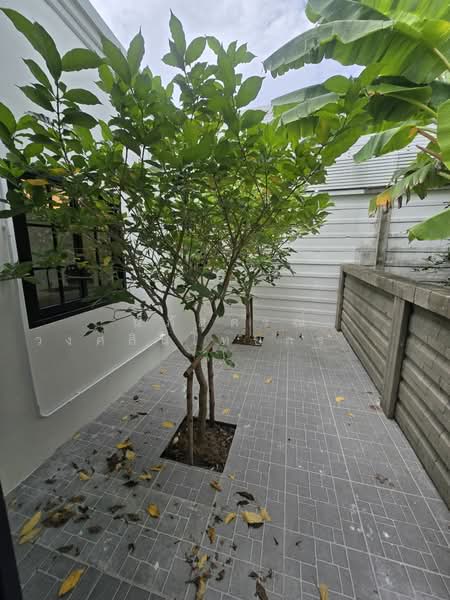 Habitia Motif Panya-Ramintra, Bangkok, Panya Intra Road, Sam Wa Tawan Tok, Khlong Sam Wa, Bangkok, 4 Bedrooms, 250 sqm, Single Detached House For Sale, by นภัสศรณ์ วงศ์สินไทยกร (นันท์), 500332408 - DDproperty.com