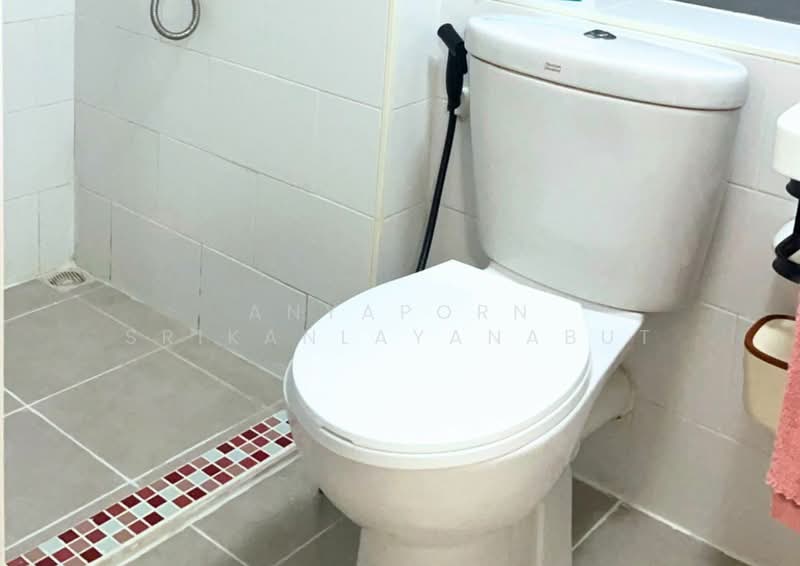 Plum Condo Park Rangsit, Pathum Thani, Paholayothin Road, Khlong Nung, Khlong Luang, Pathum Thani, 1 Bedroom, 22 sqm, Condo For Rent, by Anyaporn Srikanlayanabut, 500332585 - DDproperty.com