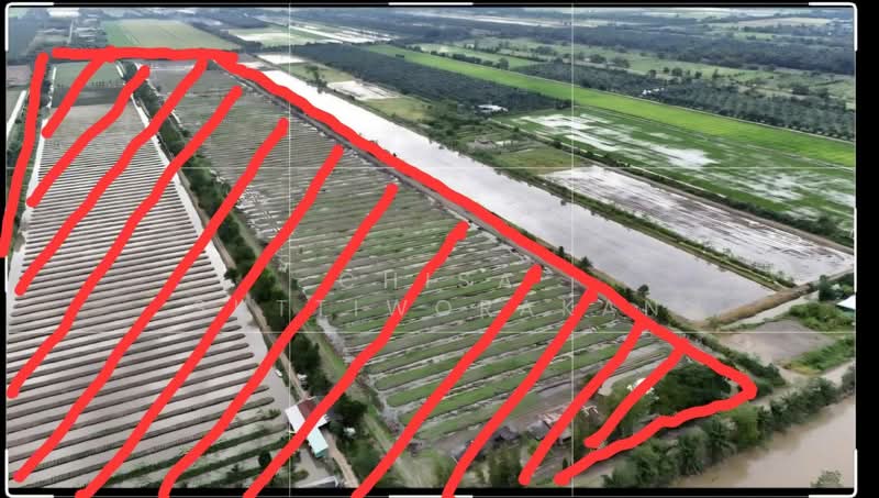 หนองเสือ, Pathum Thani, Bung Cham O, Nong Sua, Pathum Thani, , 160,000 sqm, Land For Sale, by Chisa Suttiworakan, 500332666 - DDproperty.com