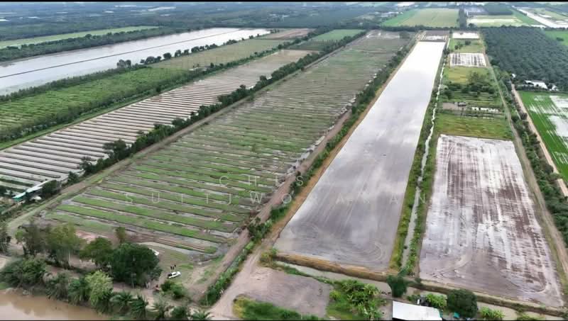 หนองเสือ, Pathum Thani, Bung Cham O, Nong Sua, Pathum Thani, , 160,000 sqm, Land For Sale, by Chisa Suttiworakan, 500332666 - DDproperty.com