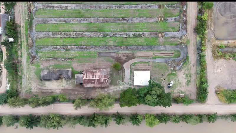 หนองเสือ, Pathum Thani, Bung Cham O, Nong Sua, Pathum Thani, , 160,000 sqm, Land For Sale, by Chisa Suttiworakan, 500332666 - DDproperty.com