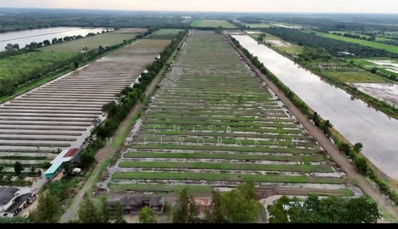 หนองเสือ, Pathum Thani, Bung Cham O, Nong Sua, Pathum Thani, , 160,000 sqm, Land For Sale, by Chisa Suttiworakan, 500332666 - DDproperty.com