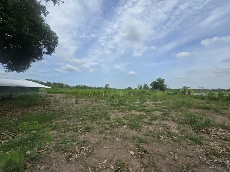 หนองเสือ, Pathum Thani, Bung Cham O, Nong Sua, Pathum Thani, , 160,000 sqm, Land For Sale, by Chisa Suttiworakan, 500332666 - DDproperty.com