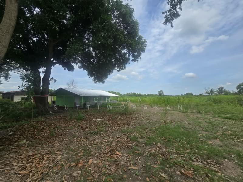 หนองเสือ, Pathum Thani, Bung Cham O, Nong Sua, Pathum Thani, , 160,000 sqm, Land For Sale, by Chisa Suttiworakan, 500332666 - DDproperty.com
