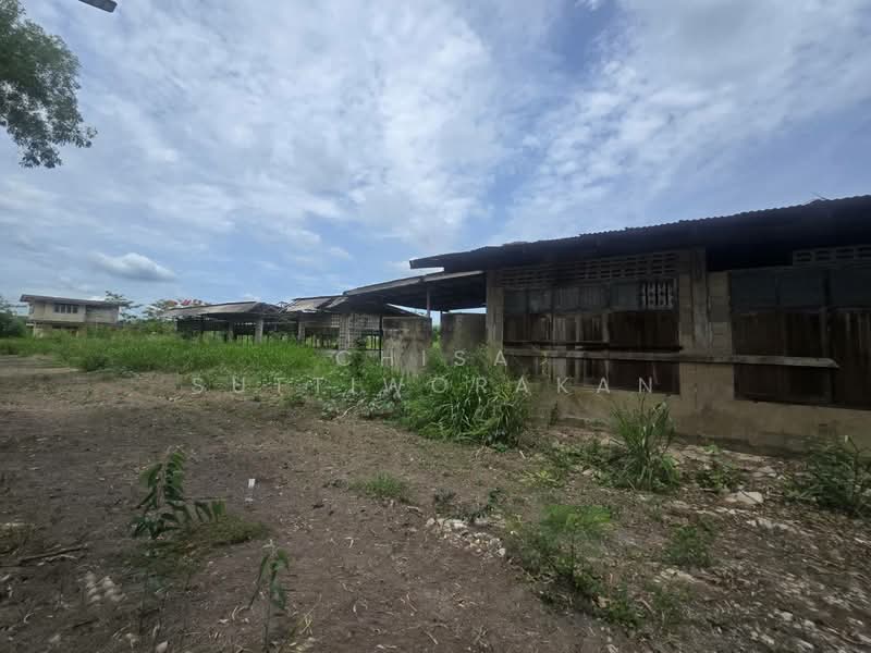 หนองเสือ, Pathum Thani, Bung Cham O, Nong Sua, Pathum Thani, , 160,000 sqm, Land For Sale, by Chisa Suttiworakan, 500332666 - DDproperty.com