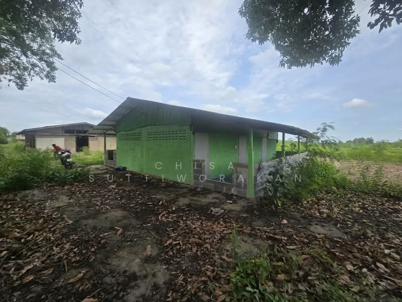 หนองเสือ, Pathum Thani, Bung Cham O, Nong Sua, Pathum Thani, , 160,000 sqm, Land For Sale, by Chisa Suttiworakan, 500332666 - DDproperty.com