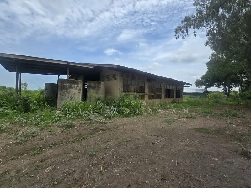 หนองเสือ, Pathum Thani, Bung Cham O, Nong Sua, Pathum Thani, , 160,000 sqm, Land For Sale, by Chisa Suttiworakan, 500332666 - DDproperty.com