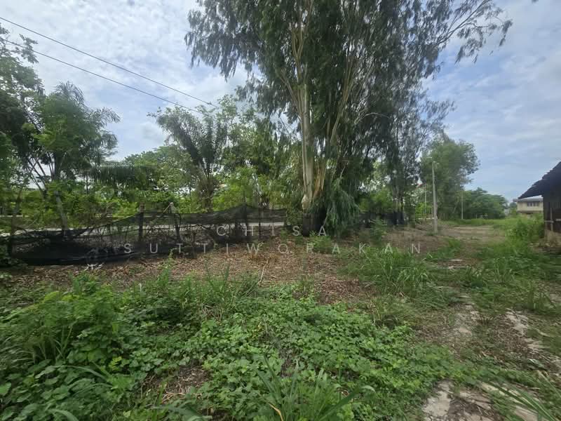 หนองเสือ, Pathum Thani, Bung Cham O, Nong Sua, Pathum Thani, , 160,000 sqm, Land For Sale, by Chisa Suttiworakan, 500332666 - DDproperty.com