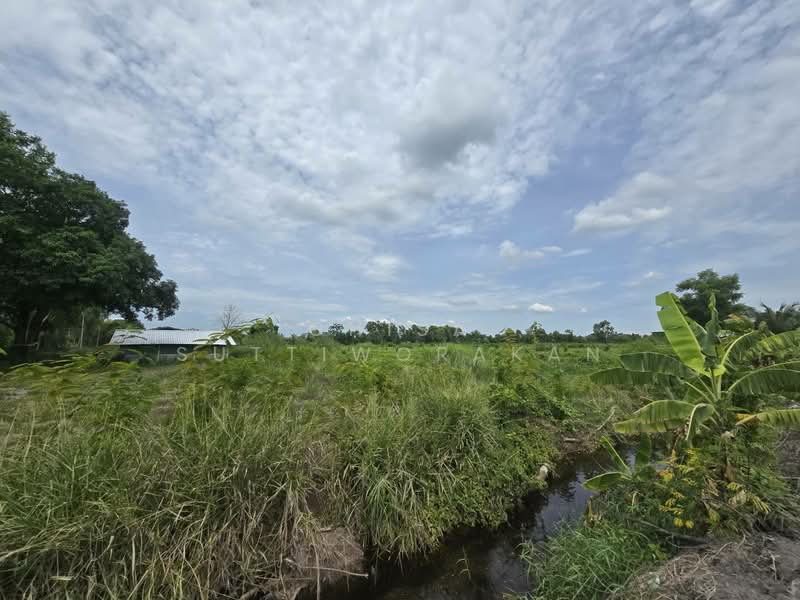 หนองเสือ, Pathum Thani, Bung Cham O, Nong Sua, Pathum Thani, , 160,000 sqm, Land For Sale, by Chisa Suttiworakan, 500332666 - DDproperty.com