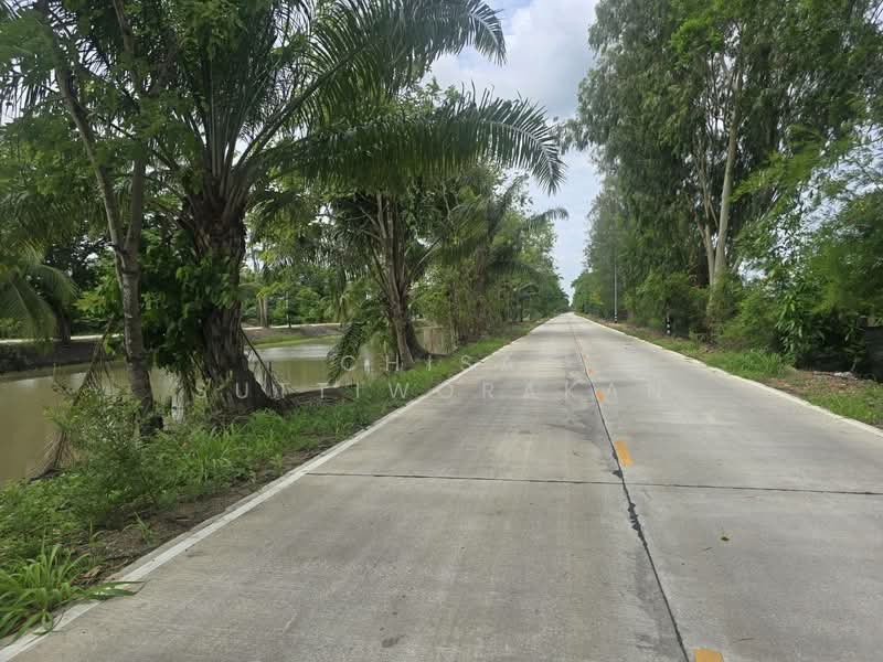 หนองเสือ, ปทุมธานี, บึงชำอ้อ, หนองเสือ, ปทุมธานี, 160,000 ตร.ม., ที่ดิน ขาย, โดย Chisa Suttiworakan, 500332666 - DDproperty.com