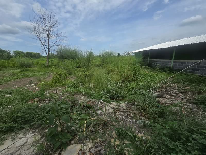 หนองเสือ, Pathum Thani, Bung Cham O, Nong Sua, Pathum Thani, , 160,000 sqm, Land For Sale, by Chisa Suttiworakan, 500332666 - DDproperty.com