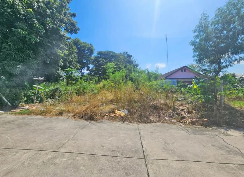 ที่ดินศรีราชา ชลบุรี, Chon Buri (Pattaya), Surasak, Si Racha, Chon Buri (Pattaya), , 196 sqm, Land For Sale, by The Best Property เขม, 500332826 - DDproperty.com
