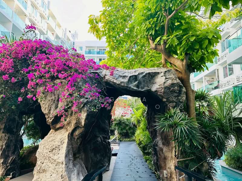 Amazon Residence Pattaya : อเมซอน เรสซิเดนซ์ พัทยา, ชลบุรี, ถนนบุณย์กัญจนา 5, หนองปรือ, บางละมุง, ชลบุรี, 35 ตร.ม., คอนโด ขาย, โดย Regina Nuengjamnong, 500332845 - DDproperty.com