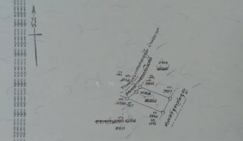ขายที่ดินเปล่า 2 ไร่ 1 งาน 76 ตร.ว. แพรกหนามแดง อัมพวา สมุทรสงคราม ราคา 3.9 ล้าน, สมุทรสงคราม, แพรกหนามแดง, อัมพวา, สมุทรสงคราม, 3,904 ตร.ม., ที่ดิน ขาย, โดย คุณนิด, 500332850 - DDproperty.com